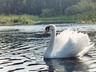 Photo_113