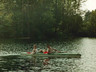 Photo_115