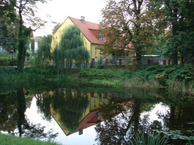 Photo_1253