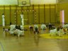 Photo_1516