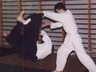Photo_154