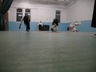 Photo_1586