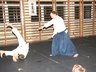 Photo_1686