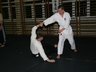 Photo_1689