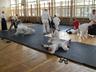 Photo_1761