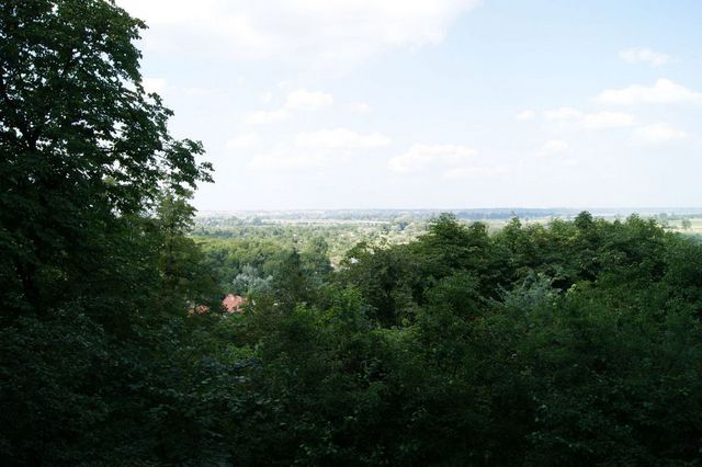 Photo_2085