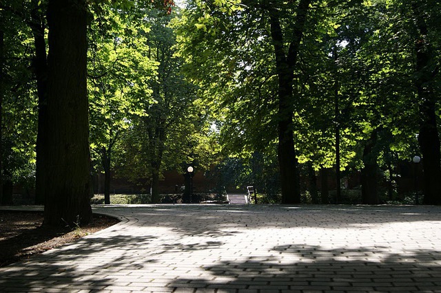 Photo_2086