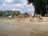 Photo_2088