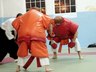 Photo_2233