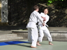 Photo_2264