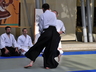 Photo_2271