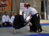 Photo_2272