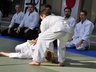 Photo_2290