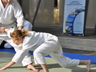 Photo_2292