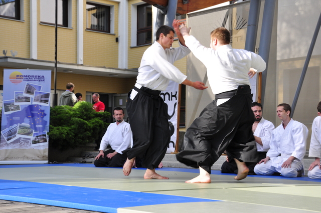Photo_2310