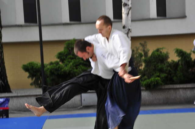 Photo_2335