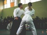 Photo_246