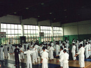 Photo_279