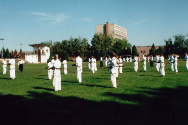 Photo_303