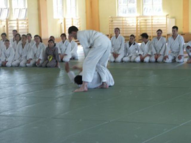 Photo_803