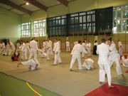 Photo_833