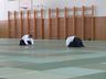 Photo_933