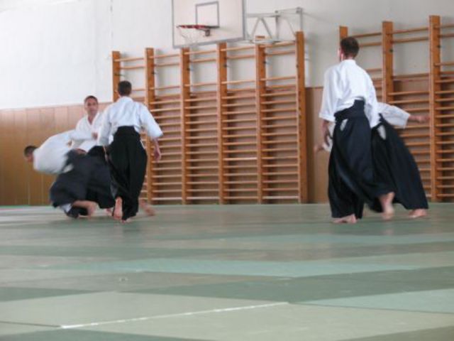 Photo_952
